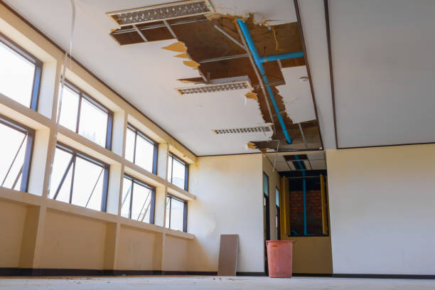 Best Commercial water damage restoration  in Locust Valley, NY