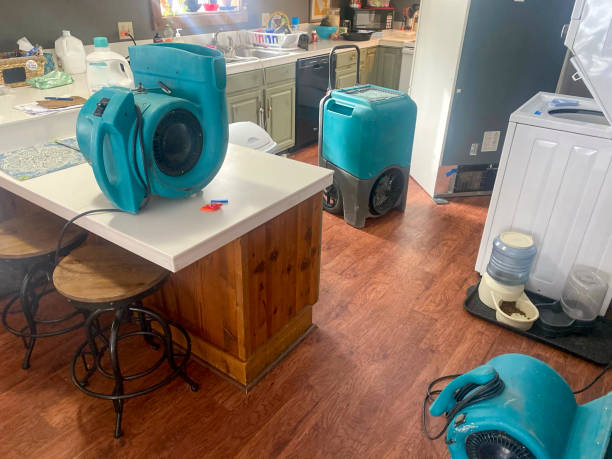 Best Flood damage cleanup  in Locust Valley, NY