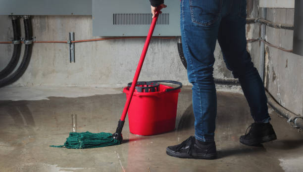  Locust Valley, NY Water damage restoration Pros